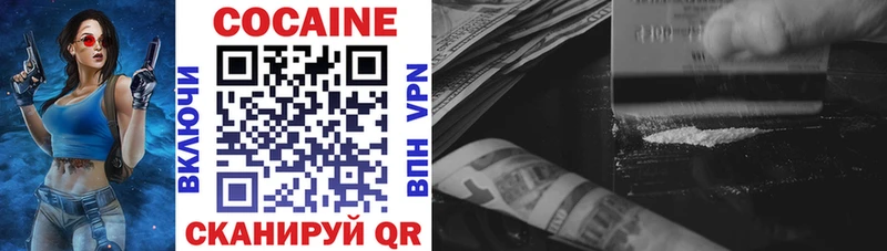 COCAIN Fish Scale закладки Бабушкин
